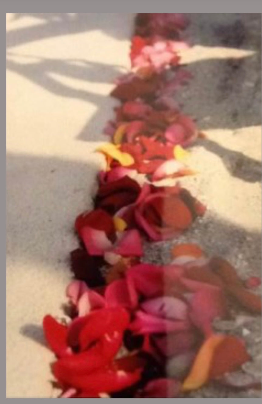 Rose Petals - starting @