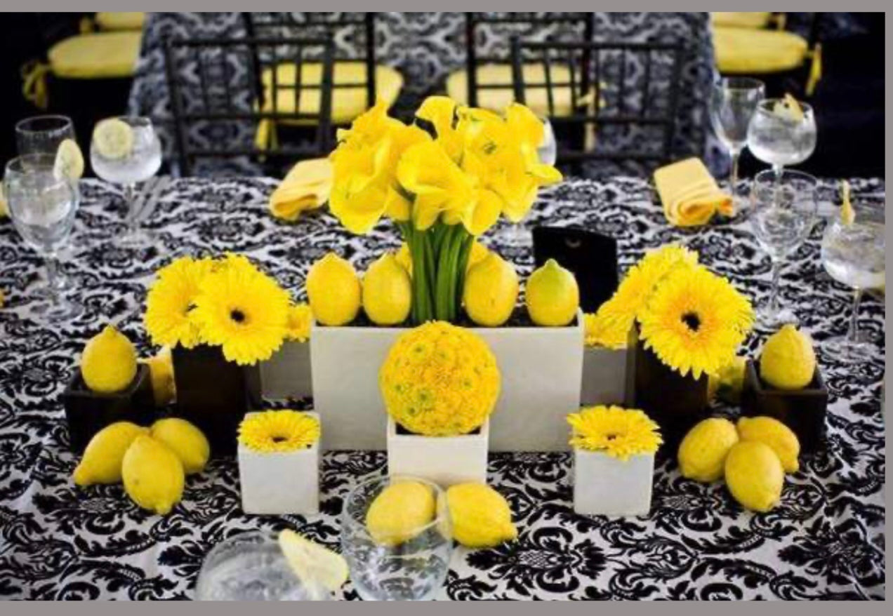 Table Scape - starting @