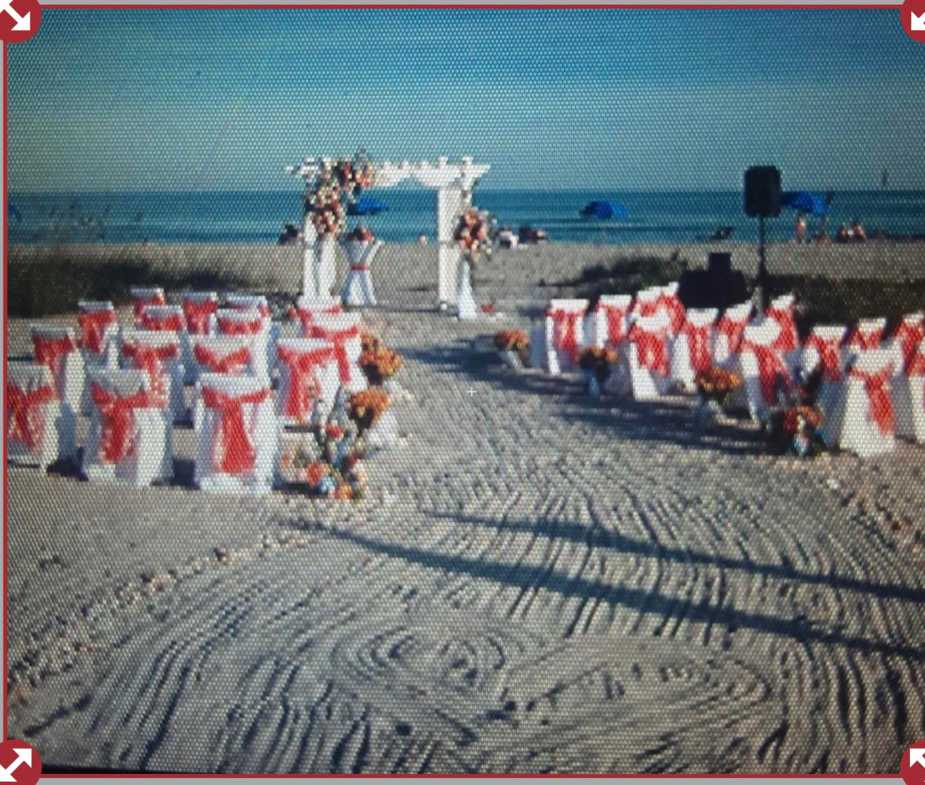 Walkway Isle Plants - Starting @