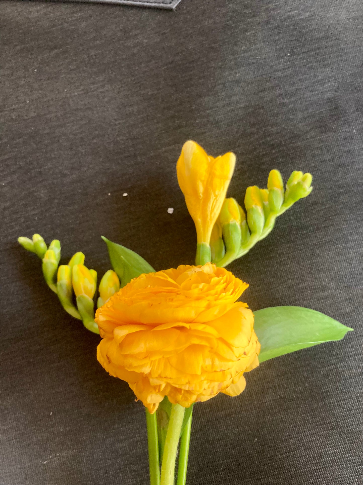 Boutonnière, corsage or wrist corsage with Freesia and Ranocolous