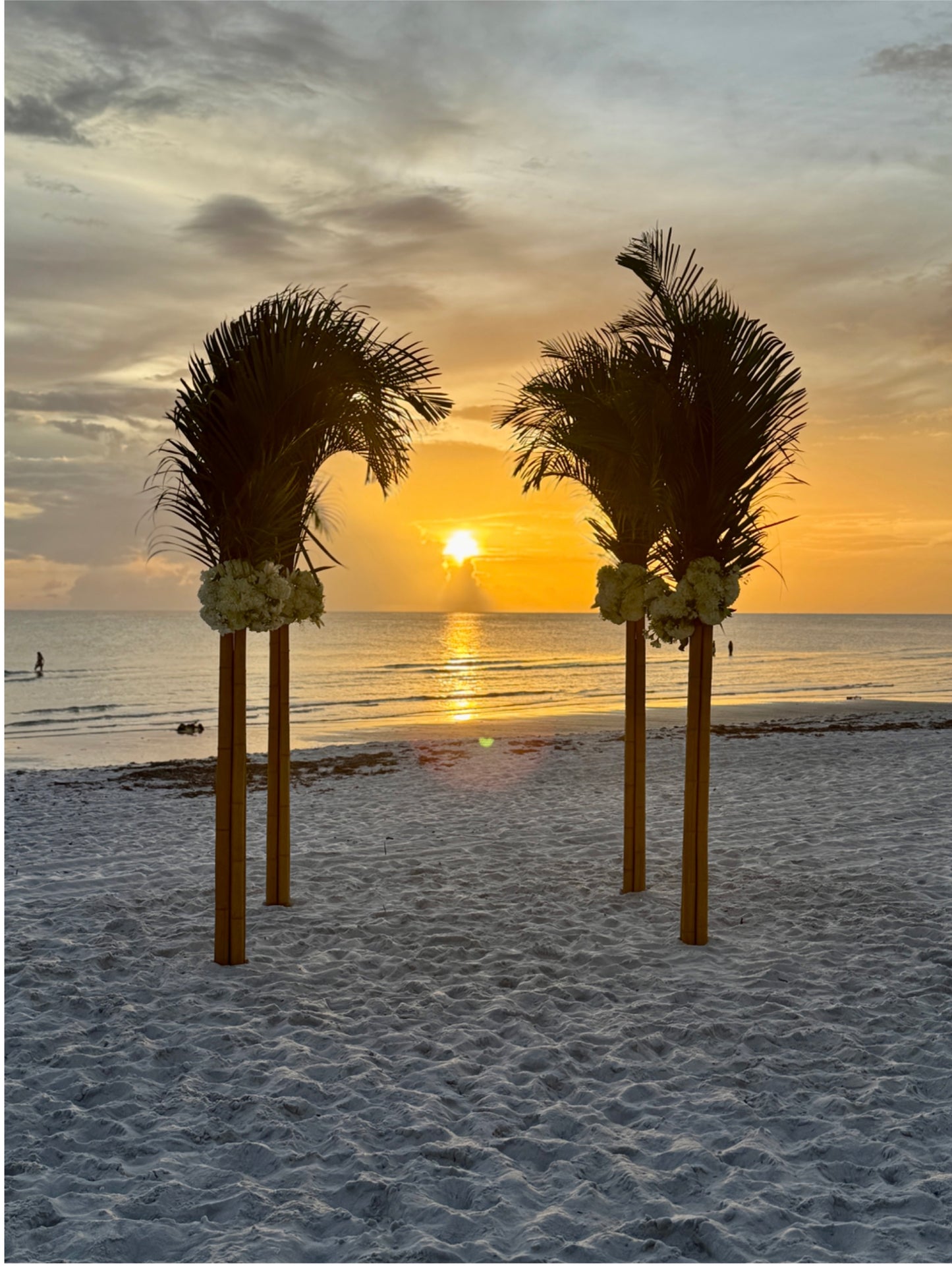 A Beautiful Beach Palm Frond & Bamboo Arch