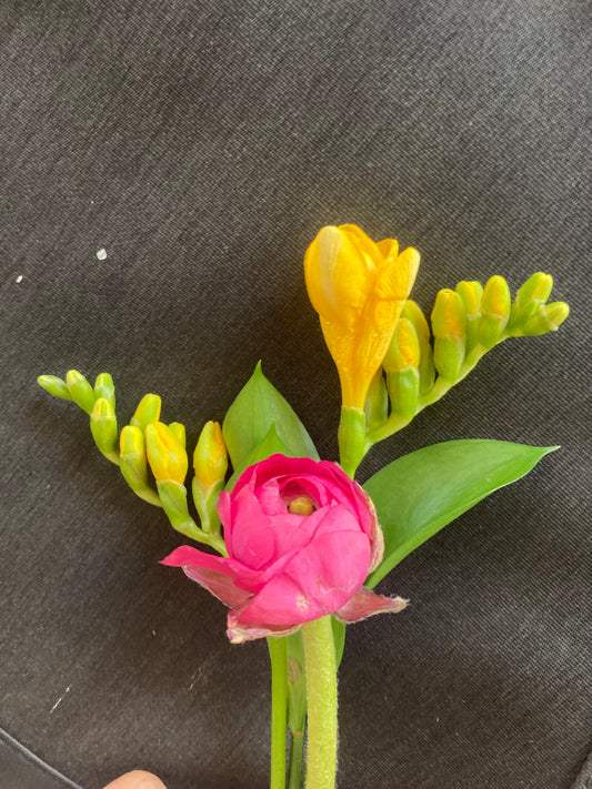 Boutonnière freesia and ranocolous