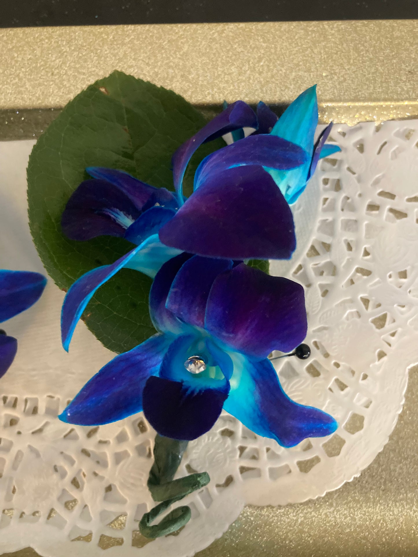 boutonnières- Blue Bomb Dendrobian Orchids