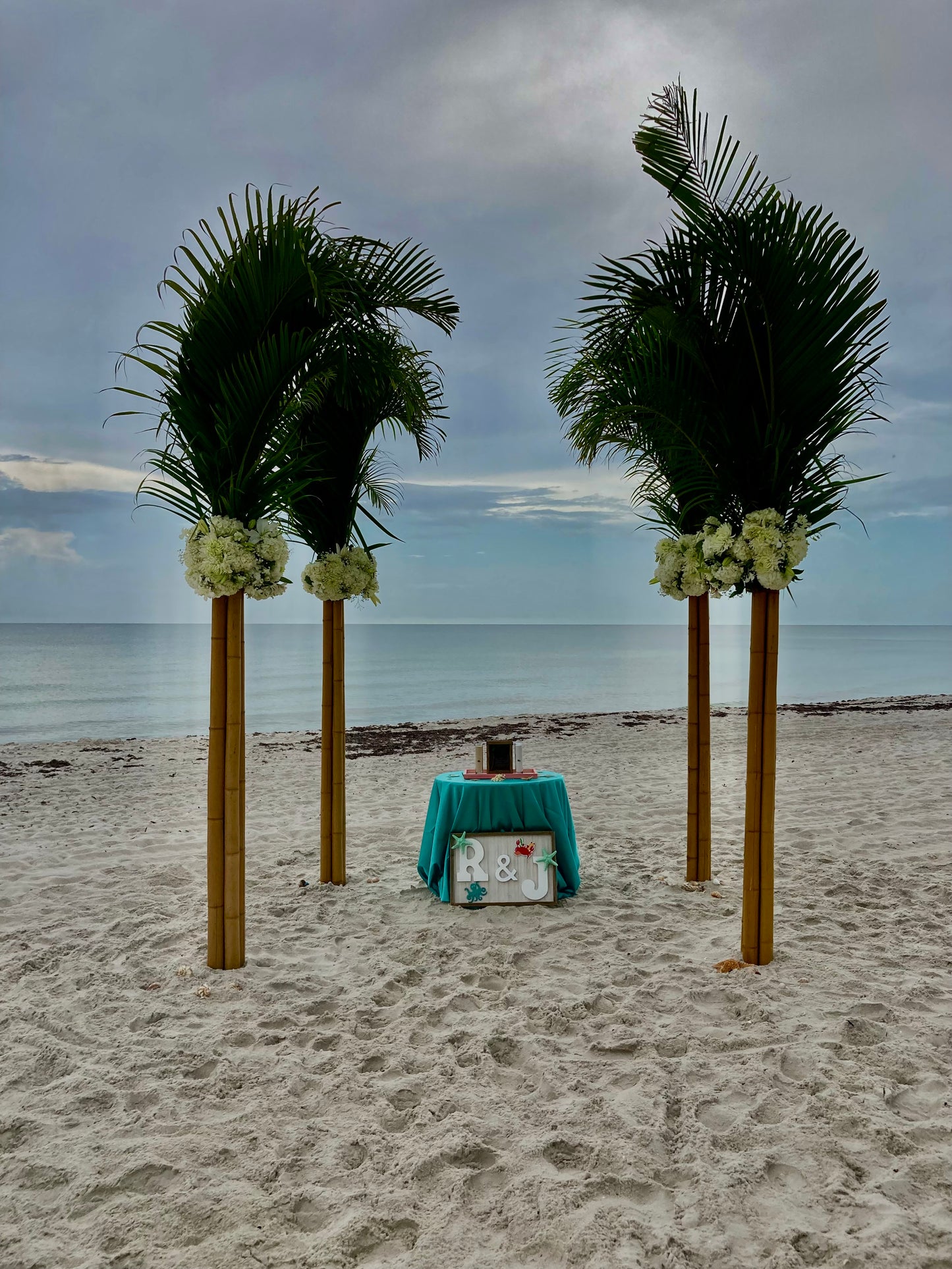 A Beautiful Beach Palm Frond & Bamboo Arch