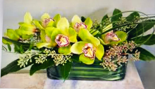 Green cymbidium in a vessel