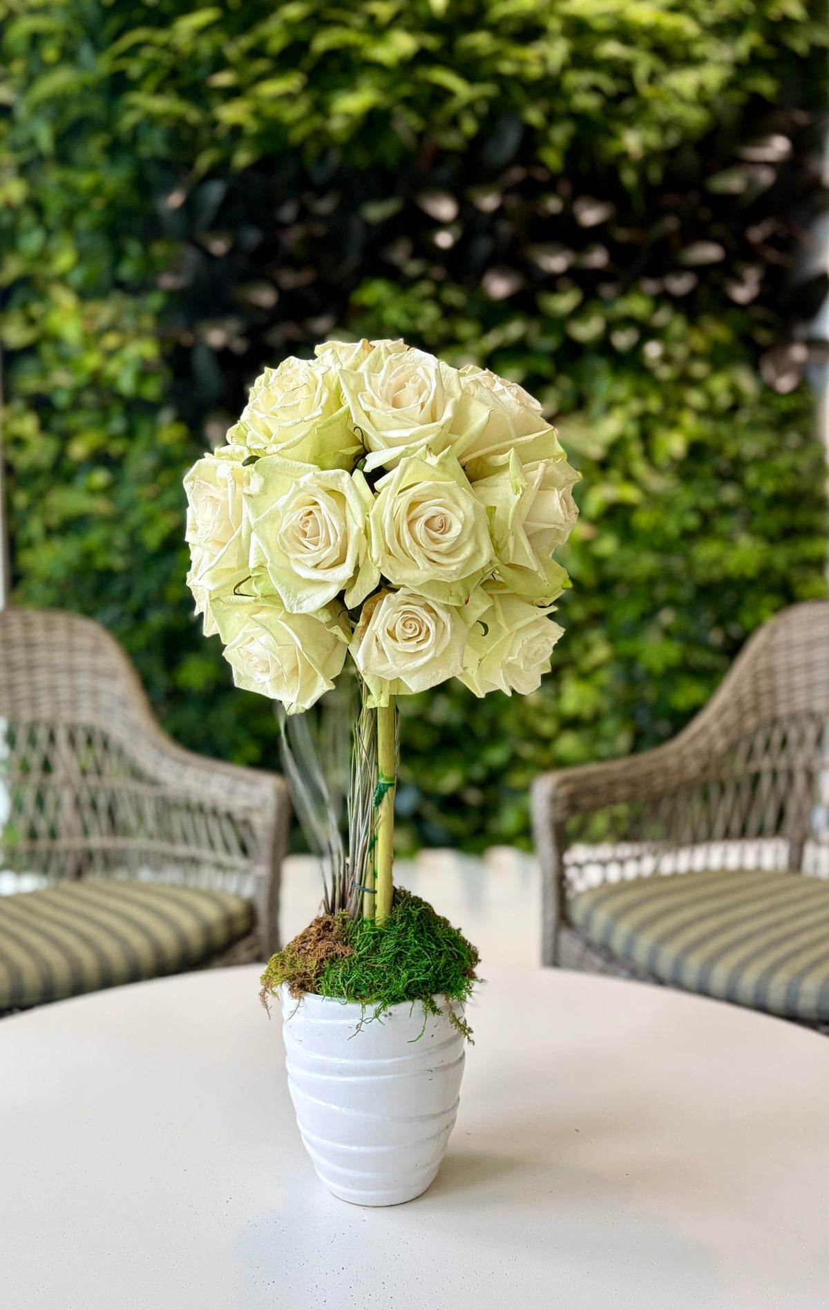 Rose Topiary